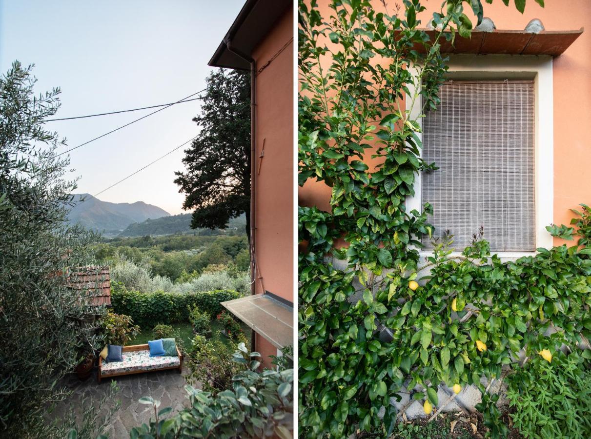 Casetta Di Butia, Mimosa Apartment Borgo a Mozzano Bagian luar foto