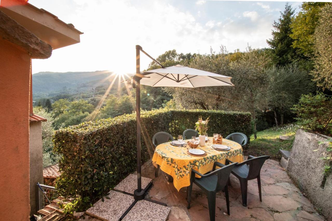 Casetta Di Butia, Mimosa Apartment Borgo a Mozzano Bagian luar foto