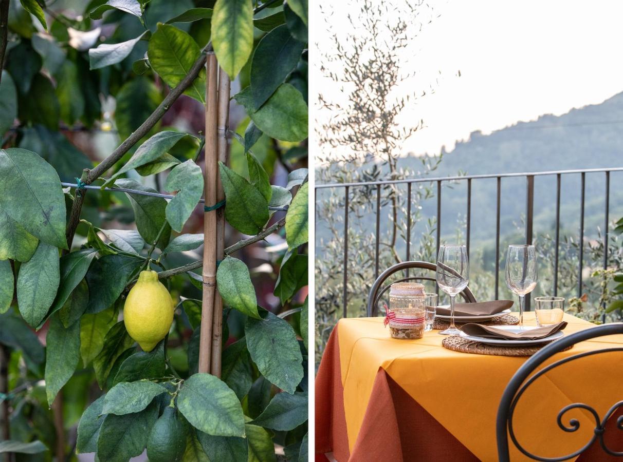 Casetta Di Butia, Mimosa Apartment Borgo a Mozzano Bagian luar foto