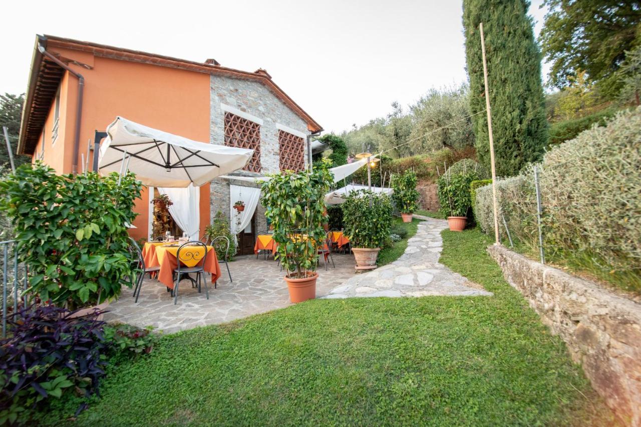Casetta Di Butia, Mimosa Apartment Borgo a Mozzano Bagian luar foto