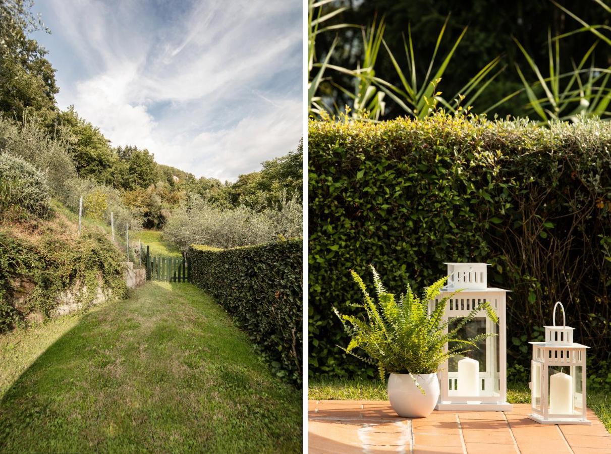 Casetta Di Butia, Mimosa Apartment Borgo a Mozzano Bagian luar foto